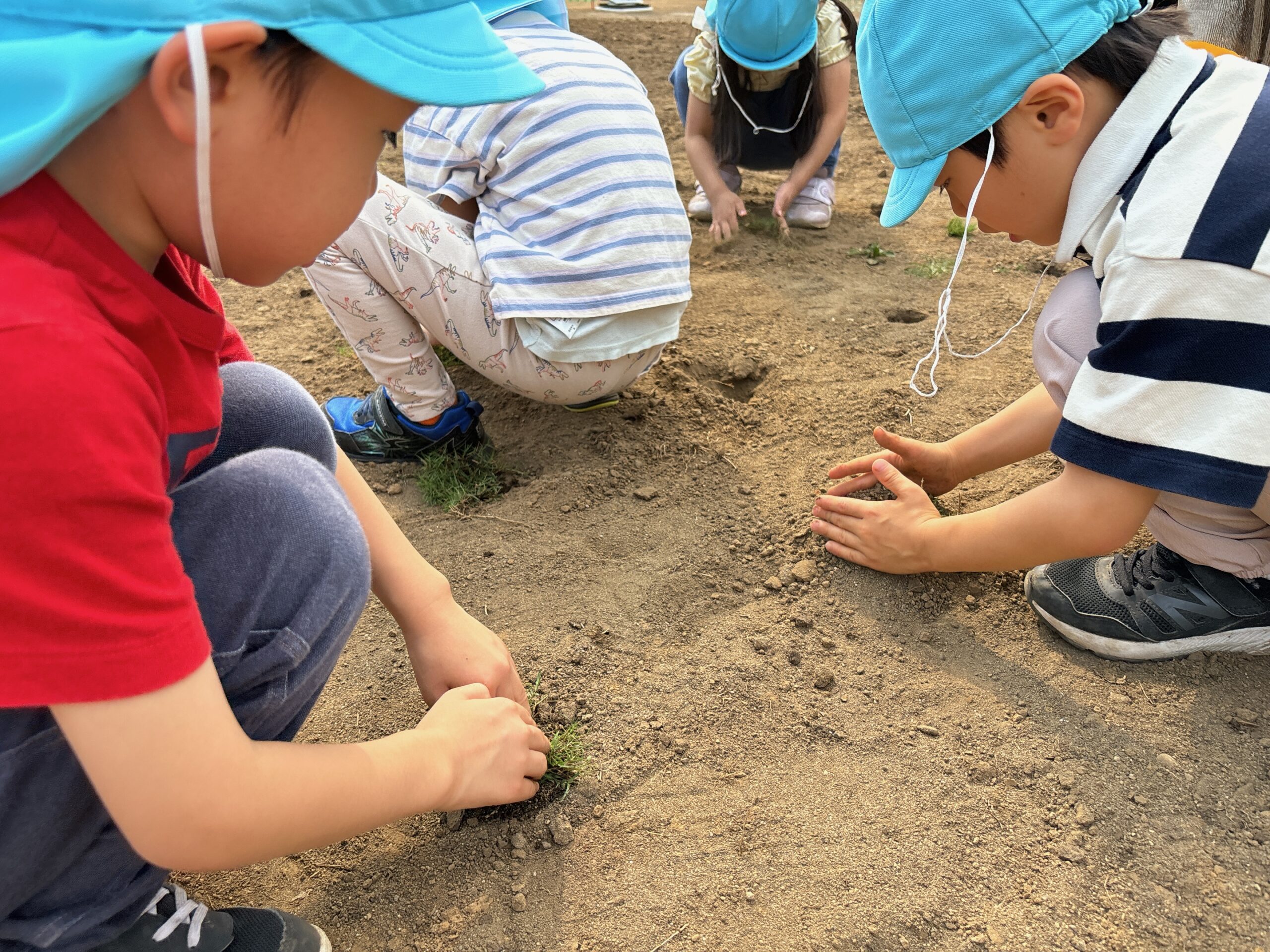 いつもの公園に、お礼がしたい！芝の植えつけ体験｜花房山目黒駅前保育園333