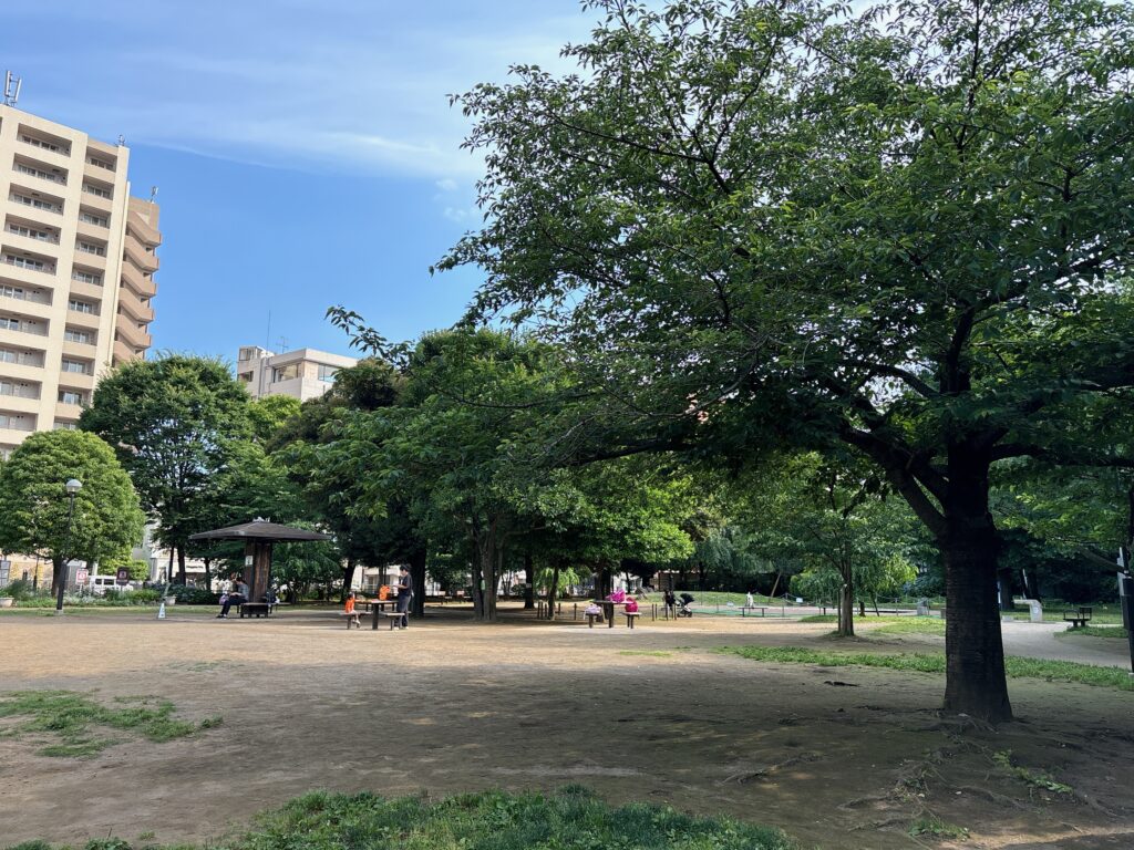 いつもの公園に、お礼がしたい！芝の植えつけ体験｜花房山目黒駅前保育園333 | ハグシル