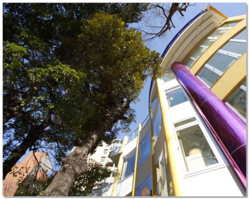 新宿三つの木保育園もりさんかくしかく