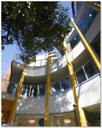 新宿三つの木保育園もりさんかくしかく