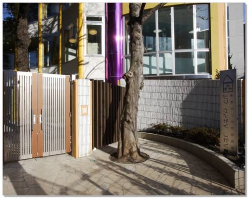 新宿三つの木保育園もりさんかくしかく