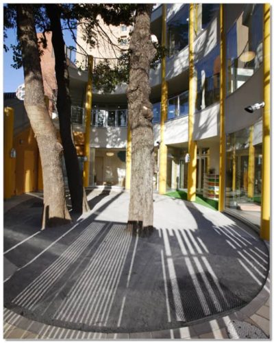 新宿三つの木保育園もりさんかくしかく