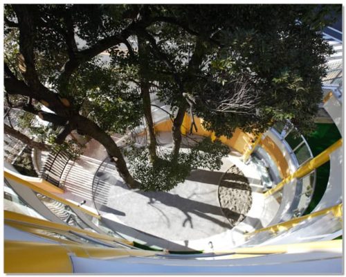 新宿三つの木保育園もりさんかくしかく