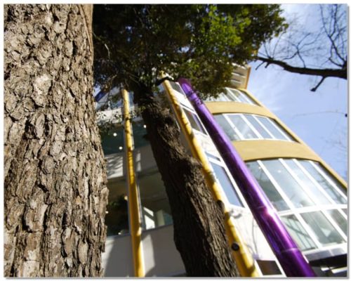 新宿三つの木保育園もりさんかくしかく