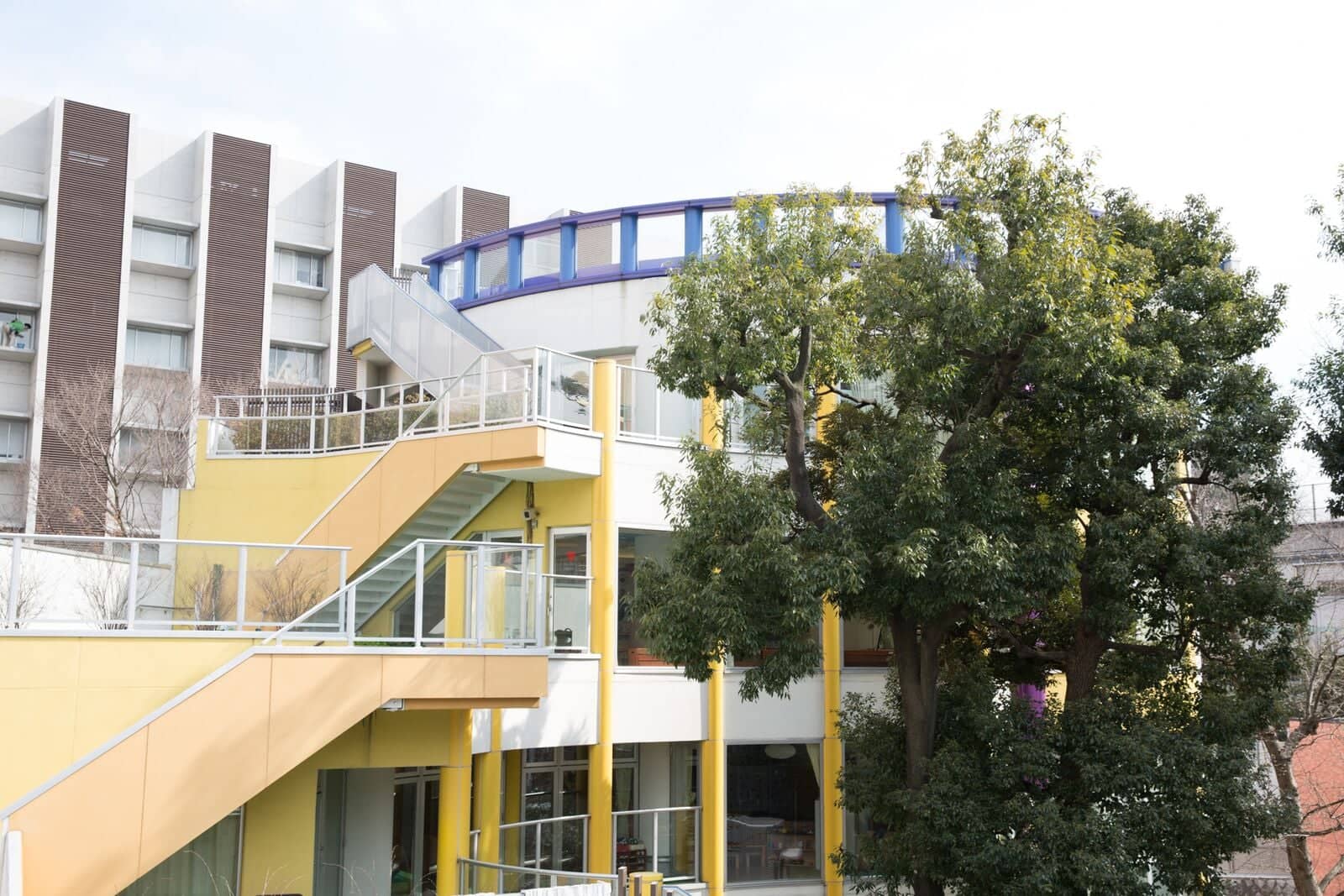 新宿三つの木保育園もりさんかくしかく